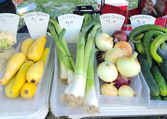 Excelsior Springs Chamber Farmers Market